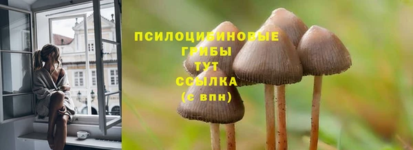 гашиш Пересвет