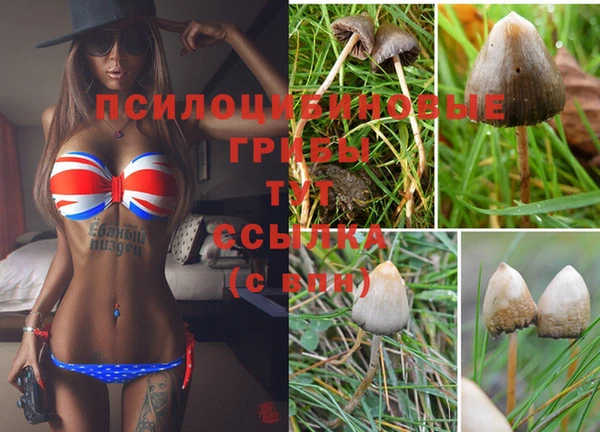 твердый Болохово