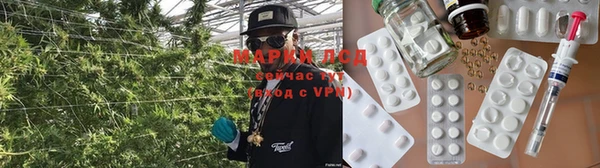 ГАЛЛЮЦИНОГЕННЫЕ ГРИБЫ Переславль-Залесский