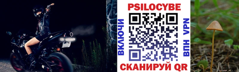 хочу Тында Псилоцибиновые грибы ЛСД
