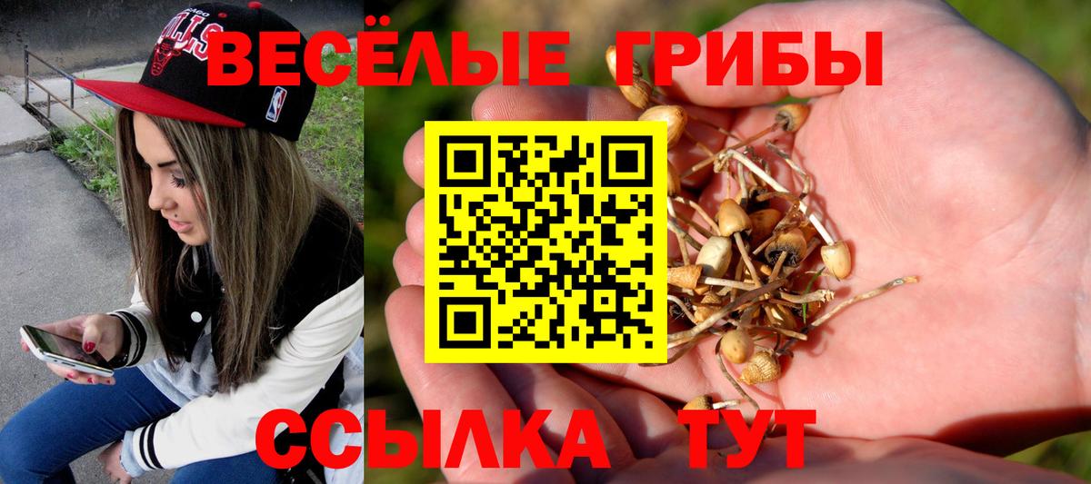 Тында  Псилоцибиновые грибы мухоморы  наркотики  Галлюциногенные грибы Psilocybine cubensis  Вход с VPN 