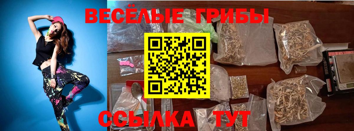 Псилоцибиновые грибы прущие грибы Тында